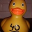 Duckie40