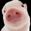 Gordito