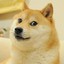 Yz_Rly's avatar