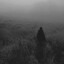 alone.
