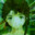 Copland OS's Avatar