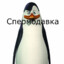 Спермодавка