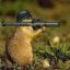 Squirrelly