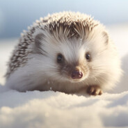 Hedgehog #bday8days