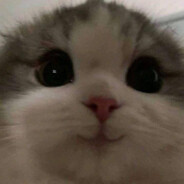001 - steam id 76561197964651126