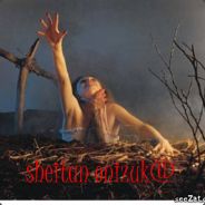 | ŠћεĭŢąИ |¤n!Zuka