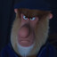 i got hamster nuts
