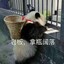 可是我天天爱学习