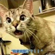 低调无趣的小野丽圈