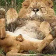 队友打架我舔包