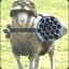 Pvt.Day_Of_The_Sheep [9thMRD]