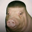 Pigger