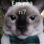_faaastz 愛