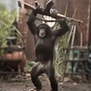 unstable monkey