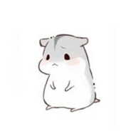 暗影猎手鼠爷爷