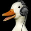 -Duck-Gaming-