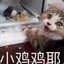 抱抱猫猫