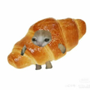 裹着被子路过全世界