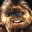 Baby Chewbacky’s avatar