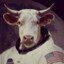 TheMoonCow