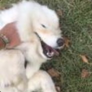 酒泉卫星发射中心