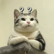 红烧鸡翅我最爱吃