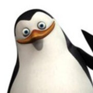 Szeregowy.skins.army