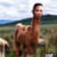 Kendrick Llama