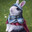 Bun Knight