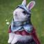 Bun Knight