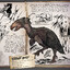 Teror Bird