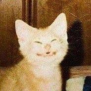 meow - steam id 76561199564469154