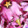 ◍k1lker