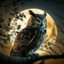 Owlie@bandit