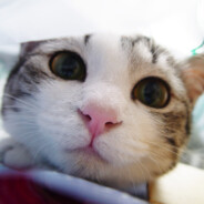 <3Vicky<3