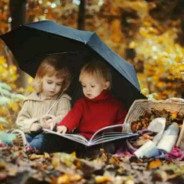 六岁开始上房揭瓦