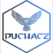 Puchacz