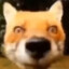 Micheal Fox