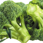 BroccoLee