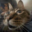 Catmaster09