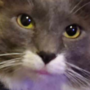 Shanenem - steam id 76561198251907546