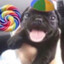 Arkvez