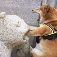 孤獨說給三月的風