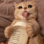 cchiffonn