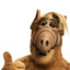 Alf