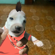 Player Avatar