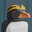 iRay avatar