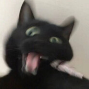 灰褐色橡果