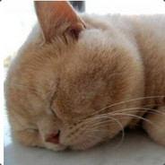 海绵球体爆缸选手