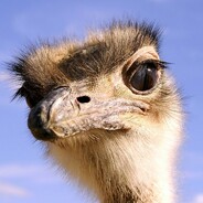 boshcafe - steam id 76561199105674195